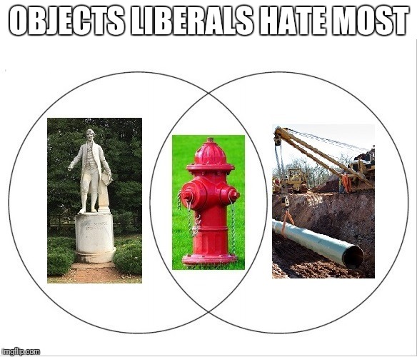 Objects liberals hate most | OBJECTS LIBERALS HATE MOST | image tagged in liberals,venn diagram | made w/ Imgflip meme maker