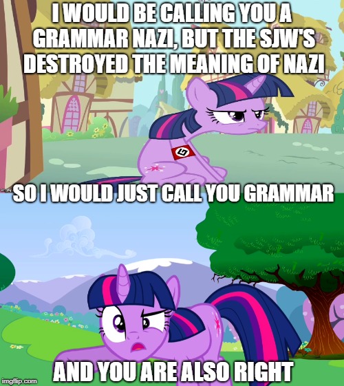 And you are also right | I WOULD BE CALLING YOU A GRAMMAR NAZI, BUT THE SJW'S DESTROYED THE MEANING OF NAZI; SO I WOULD JUST CALL YOU GRAMMAR; AND YOU ARE ALSO RIGHT | image tagged in my little pony,grammar nazi | made w/ Imgflip meme maker