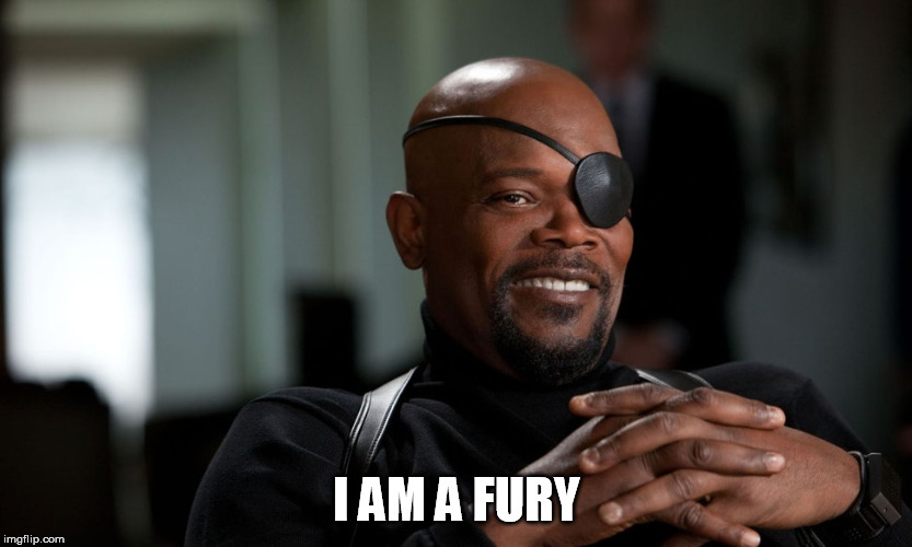 I AM A FURY | I AM A FURY | image tagged in fury,nick,furry,cringe,meme | made w/ Imgflip meme maker
