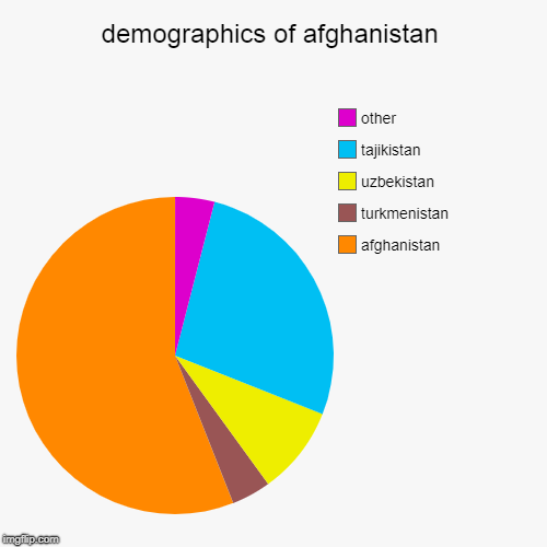 demographics of afghanistan | afghanistan, turkmenistan, uzbekistan, tajikistan, other | image tagged in pie charts | made w/ Imgflip chart maker