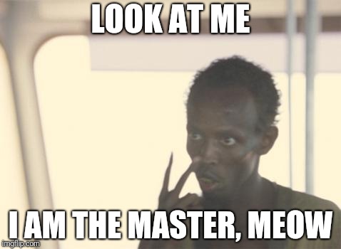 I'm The Captain Now Meme | LOOK AT ME; I AM THE MASTER, MEOW | image tagged in memes,i'm the captain now | made w/ Imgflip meme maker