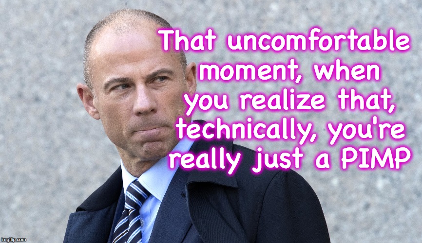 for 'Stormy Daniels'... but for who else? | That uncomfortable moment, when you realize that, technically, you're really just a PIMP | image tagged in stormy daniels | made w/ Imgflip meme maker