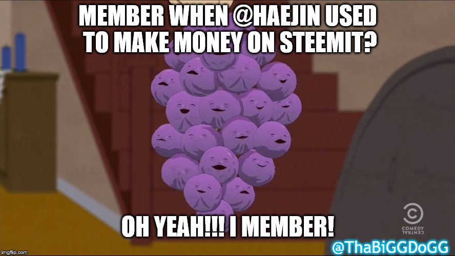 Member Berries Meme | MEMBER WHEN @HAEJIN USED TO MAKE MONEY ON STEEMIT? OH YEAH!!! I MEMBER! @ThaBiGGDoGG | image tagged in memes,member berries | made w/ Imgflip meme maker