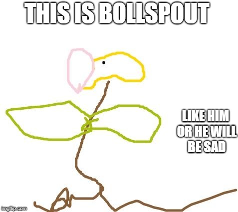 LOOK AT THIS | THIS IS BOLLSPOUT; LIKE HIM OR HE WILL BE SAD | image tagged in bollspout | made w/ Imgflip meme maker