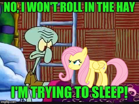 NO, I WON'T ROLL IN THE HAY I'M TRYING TO SLEEP! | made w/ Imgflip meme maker