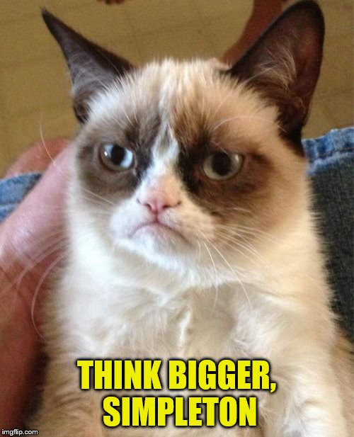 Grumpy Cat Meme | THINK BIGGER, SIMPLETON | image tagged in memes,grumpy cat | made w/ Imgflip meme maker