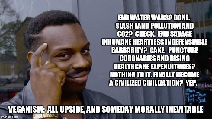 Roll Safe Think About It Meme | END WATER WARS? DONE. SLASH LAND POLLUTION AND C02?  CHECK.  END SAVAGE INHUMANE HEARTLESS INDEFENSINBLE BARBARITY?  CAKE.  PUNCTURE CORONAR | image tagged in memes,roll safe think about it | made w/ Imgflip meme maker