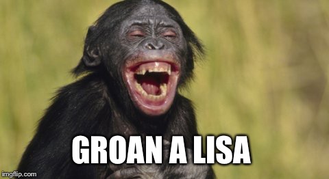 GROAN A LISA | made w/ Imgflip meme maker