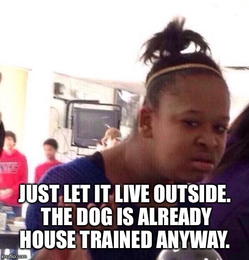 Black Girl Wat Meme | JUST LET IT LIVE OUTSIDE. THE DOG IS ALREADY HOUSE TRAINED ANYWAY. | image tagged in memes,black girl wat | made w/ Imgflip meme maker