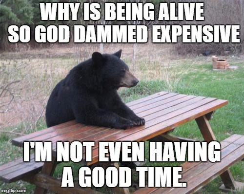 Bad Luck Bear | WHY IS BEING ALIVE SO GOD DAMMED EXPENSIVE; I'M NOT EVEN HAVING A GOOD TIME. | image tagged in memes,bad luck bear,random | made w/ Imgflip meme maker