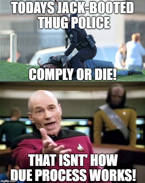 POLICE | TODAYS JACK-BOOTED THUG POLICE; COMPLY OR DIE! THAT ISNT' HOW DUE PROCESS WORKS! | image tagged in police,cops,thug | made w/ Imgflip meme maker