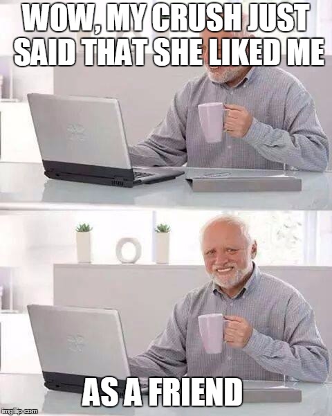 Can't believe our boi Harold got friend zoned |  WOW, MY CRUSH JUST SAID THAT SHE LIKED ME; AS A FRIEND | image tagged in memes,hide the pain harold,friend zone,funny,curry2017 | made w/ Imgflip meme maker