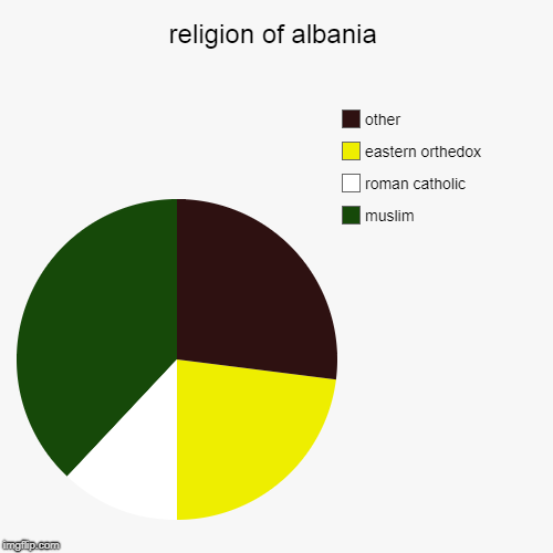 religion of albania | muslim, roman catholic, eastern orthedox, other | image tagged in pie charts | made w/ Imgflip chart maker