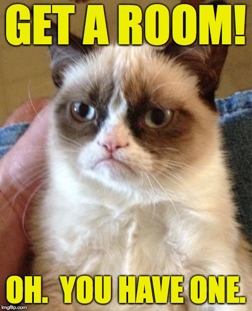 Grumpy Cat Meme | GET A ROOM! OH.  YOU HAVE ONE. | image tagged in memes,grumpy cat | made w/ Imgflip meme maker