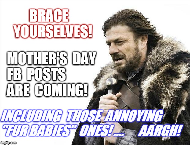Brace Yourselves X is Coming Meme | BRACE   YOURSELVES! MOTHER'S  DAY 
FB  POSTS  ARE  COMING! INCLUDING  THOSE  ANNOYING   "FUR BABIES"  ONES! ....

    AARGH! | image tagged in memes,brace yourselves x is coming | made w/ Imgflip meme maker