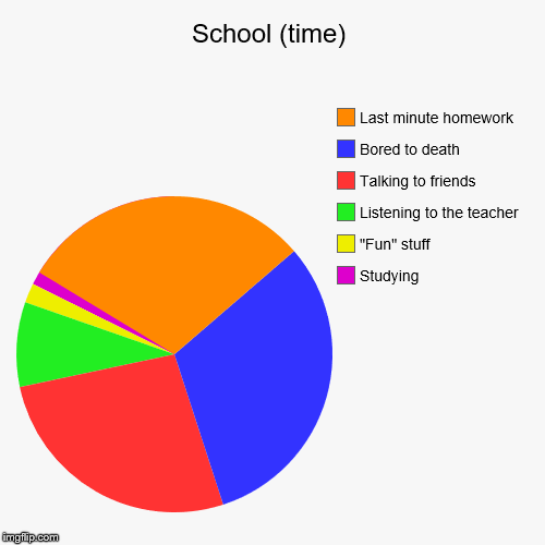 School (time) | Studying, "Fun" stuff, Listening to the teacher, Talking to friends, Bored to death, Last minute homework | image tagged in funny,pie charts | made w/ Imgflip chart maker