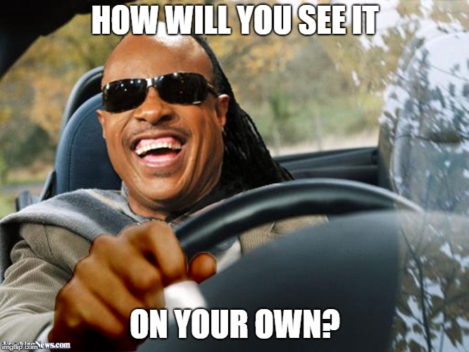 Stevie Wonder driving | HOW WILL YOU SEE IT; ON YOUR OWN? | image tagged in stevie wonder driving,mary tyler moore,theme song | made w/ Imgflip meme maker