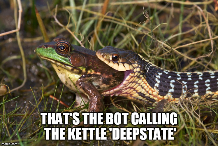 Bot and Kettle | THAT'S THE BOT CALLING THE KETTLE 'DEEPSTATE' | image tagged in bot,deepstate,snake,frog | made w/ Imgflip meme maker