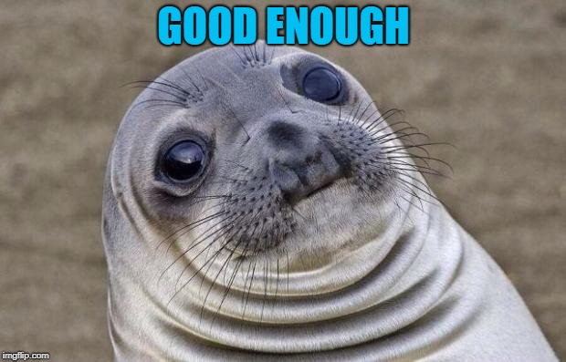 Awkward Moment Sealion Meme | GOOD ENOUGH | image tagged in memes,awkward moment sealion | made w/ Imgflip meme maker