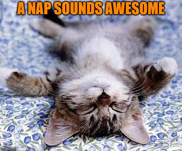 A NAP SOUNDS AWESOME | made w/ Imgflip meme maker