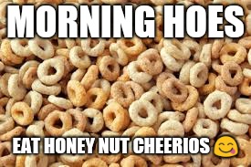 cheerios | MORNING HOES; EAT HONEY NUT CHEERIOS 😋 | image tagged in cheerios,hoes,morning,honey,dirty,nut | made w/ Imgflip meme maker