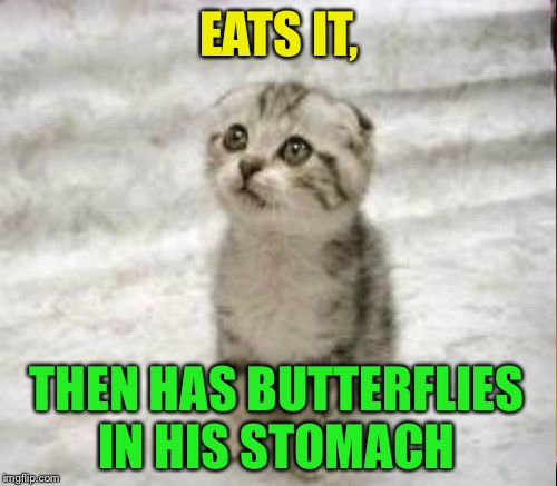 EATS IT, THEN HAS BUTTERFLIES IN HIS STOMACH | made w/ Imgflip meme maker