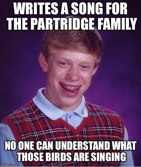 Bad Luck Brian Meme | WRITES A SONG FOR THE PARTRIDGE FAMILY; NO ONE CAN UNDERSTAND WHAT THOSE BIRDS ARE SINGING | image tagged in memes,bad luck brian | made w/ Imgflip meme maker