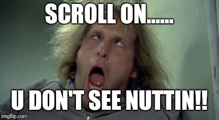 Scary Harry Meme | SCROLL ON...... U DON'T SEE NUTTIN!! | image tagged in memes,scary harry | made w/ Imgflip meme maker