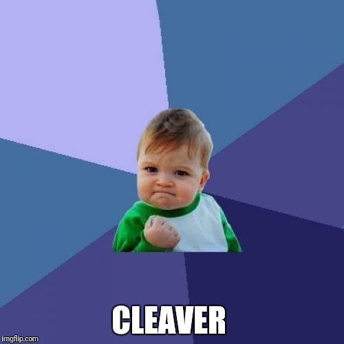 Success Kid Meme | CLEAVER | image tagged in memes,success kid | made w/ Imgflip meme maker