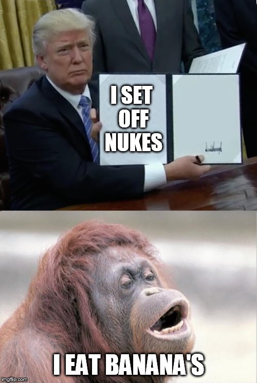 only if a monkey ran for president | I SET OFF NUKES; I EAT BANANA'S | image tagged in monkey,trump and nukes | made w/ Imgflip meme maker