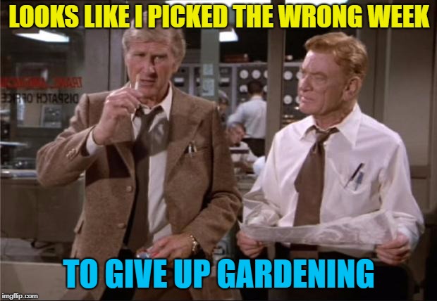 LOOKS LIKE I PICKED THE WRONG WEEK TO GIVE UP GARDENING | made w/ Imgflip meme maker