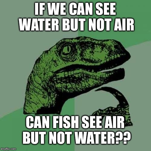 Philosoraptor | IF WE CAN SEE WATER BUT NOT AIR; CAN FISH SEE AIR BUT NOT WATER?? | image tagged in memes,philosoraptor,fish,air,water,people | made w/ Imgflip meme maker