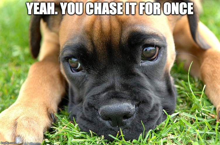 YEAH. YOU CHASE IT FOR ONCE | made w/ Imgflip meme maker