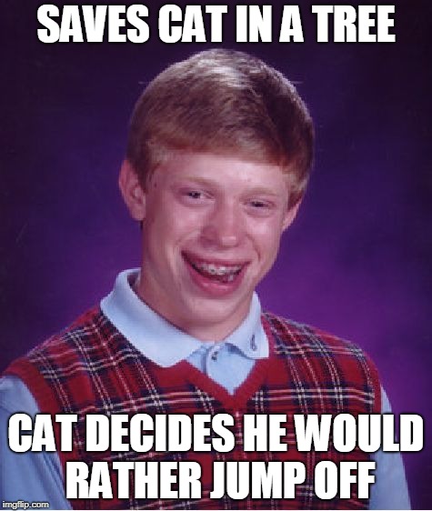 Cat-ostrophic  | SAVES CAT IN A TREE; CAT DECIDES HE WOULD RATHER JUMP OFF | image tagged in memes,bad luck brian,funny | made w/ Imgflip meme maker