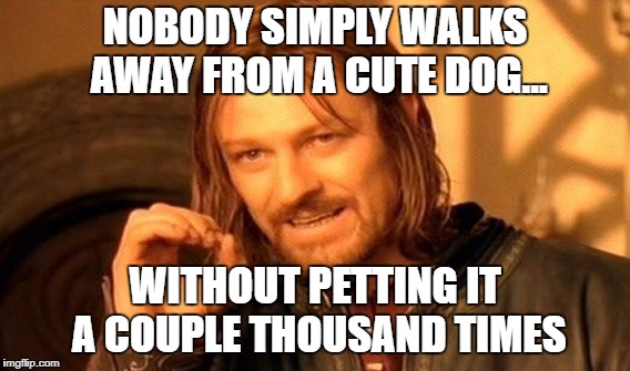 One Does Not Simply Meme | NOBODY SIMPLY WALKS AWAY FROM A CUTE DOG... WITHOUT PETTING IT A COUPLE THOUSAND TIMES | image tagged in memes,one does not simply | made w/ Imgflip meme maker