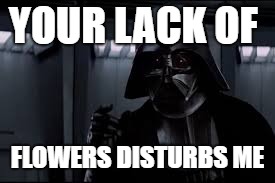 YOUR LACK OF FLOWERS DISTURBS ME | made w/ Imgflip meme maker