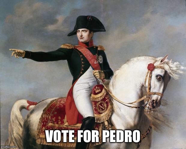 Vote for Pedro | VOTE FOR PEDRO | image tagged in napoleon bonaparte | made w/ Imgflip meme maker