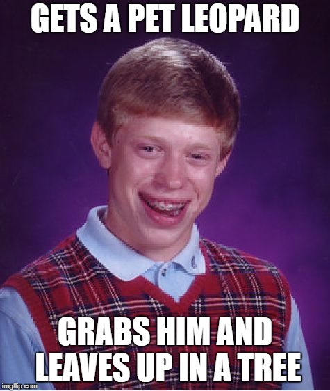 Bad Luck Brian Meme | GETS A PET LEOPARD GRABS HIM AND LEAVES UP IN A TREE | image tagged in memes,bad luck brian | made w/ Imgflip meme maker