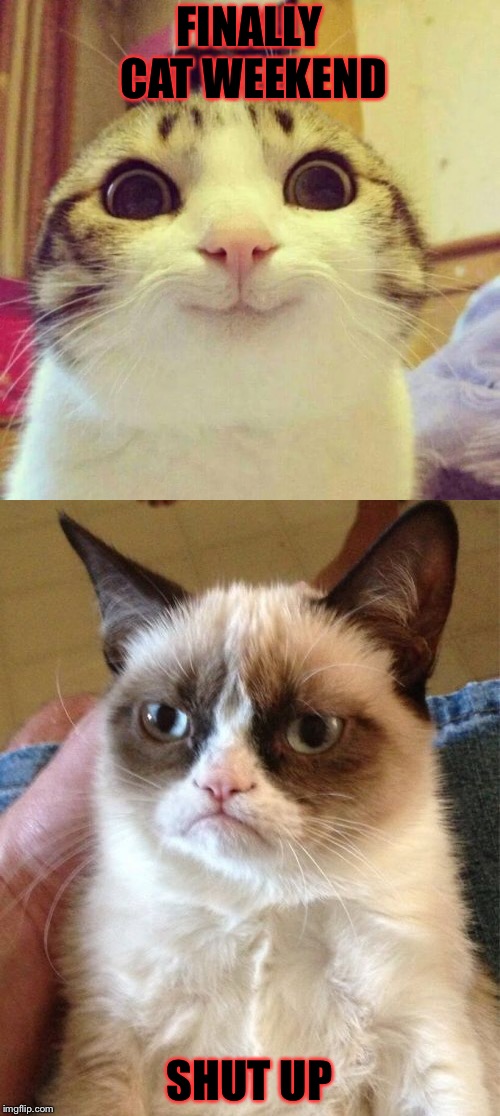 Cat Weekend March 11-13 a Landon_the _memer, 1forpeace, and JBmemegeek event | FINALLY CAT WEEKEND; SHUT UP | image tagged in memes,meme,masqurade_,grumpy cat,cats,cat weekend | made w/ Imgflip meme maker
