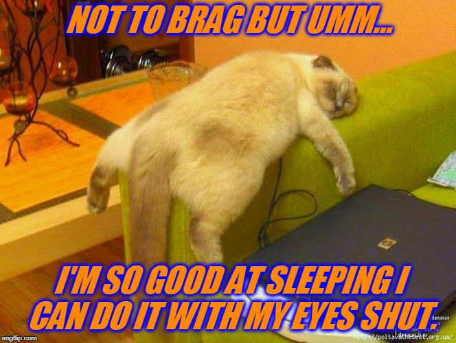 Reposting one I did a few months back! Cat Week - May 11-13, a Landon_the_memer, 1forpeace, & JBmemegeek Event!  |  NOT TO BRAG BUT UMM... I'M SO GOOD AT SLEEPING I CAN DO IT WITH MY EYES SHUT. | image tagged in sleeping cat,nixieknox,memes,cat weekend | made w/ Imgflip meme maker