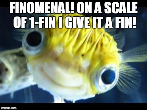 Fish | FINOMENAL! ON A SCALE OF 1-FIN I GIVE IT A FIN! | image tagged in fish | made w/ Imgflip meme maker