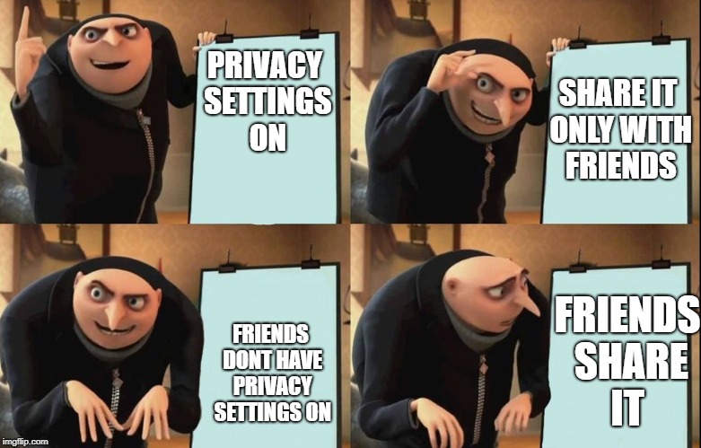 Gru's Plan | SHARE IT ONLY WITH FRIENDS; PRIVACY SETTINGS ON; FRIENDS DONT HAVE PRIVACY SETTINGS ON; FRIENDS SHARE IT | image tagged in despicable me diabolical plan gru template | made w/ Imgflip meme maker