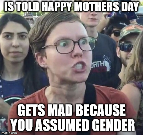 Triggered on Mother's Day | IS TOLD HAPPY MOTHERS DAY; GETS MAD BECAUSE YOU ASSUMED GENDER | image tagged in triggered feminist | made w/ Imgflip meme maker