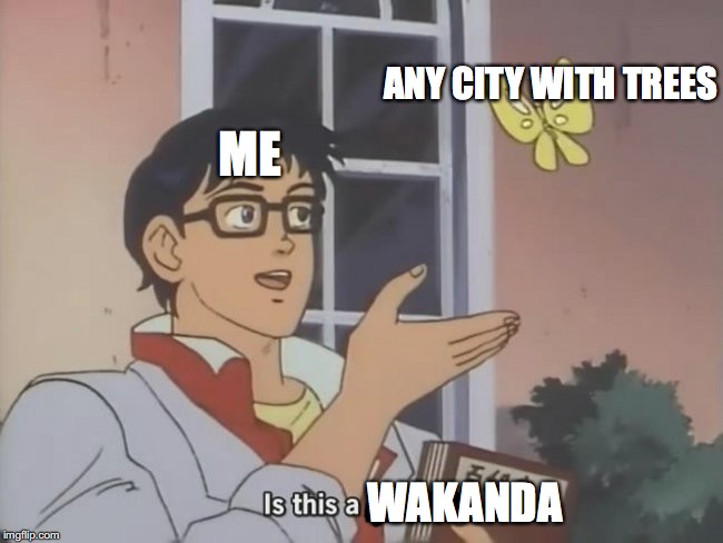 Is this a pigeon? |  ANY CITY WITH TREES; ME; WAKANDA | image tagged in is this a pigeon | made w/ Imgflip meme maker