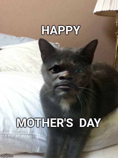 Say it one more time | HAPPY; MOTHER'S  DAY | image tagged in samuel l jackson,happy mother's day,mothers day,mothers,say it one more time | made w/ Imgflip meme maker