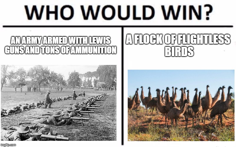 Who Would Win? Meme | AN ARMY ARMED WITH LEWIS GUNS AND TONS OF AMMUNITION; A FLOCK OF FLIGHTLESS BIRDS | image tagged in memes,who would win,emu,army,guns,australia | made w/ Imgflip meme maker