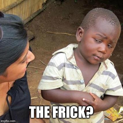 Third World Skeptical Kid Meme | THE FRICK? | image tagged in memes,third world skeptical kid | made w/ Imgflip meme maker