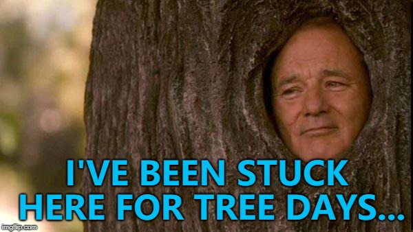 I'm knot kidding... :) | I'VE BEEN STUCK HERE FOR TREE DAYS... | image tagged in stay in the trees,memes | made w/ Imgflip meme maker