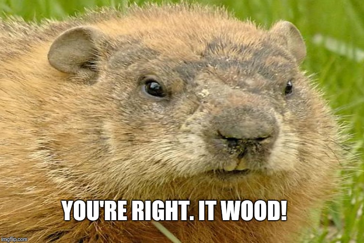YOU'RE RIGHT. IT WOOD! | made w/ Imgflip meme maker