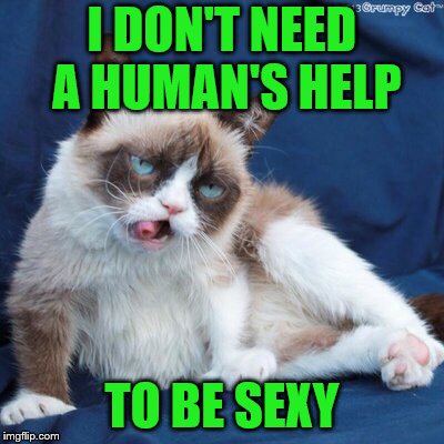I DON'T NEED A HUMAN'S HELP TO BE SEXY | made w/ Imgflip meme maker